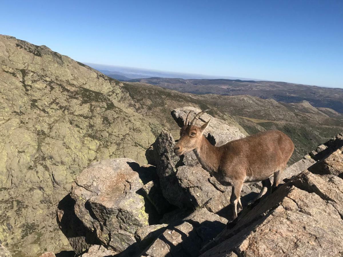 El Llano - El Hornillo, Tu Pueblo En La Sierra De Gredos. Villa Eksteriør bilde